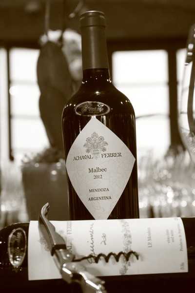 Tasting of Achaval Ferrer Wine